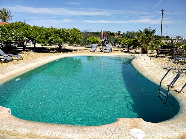 Beautiful Pool At Finca Arboleda